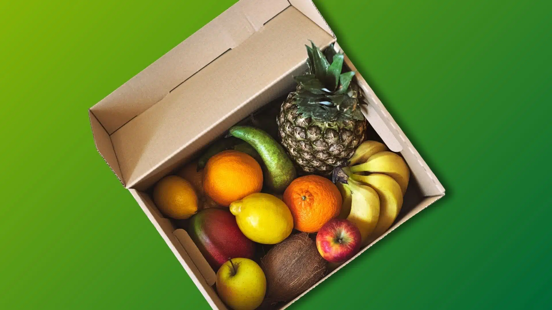 contenitore in cartone per alimenti