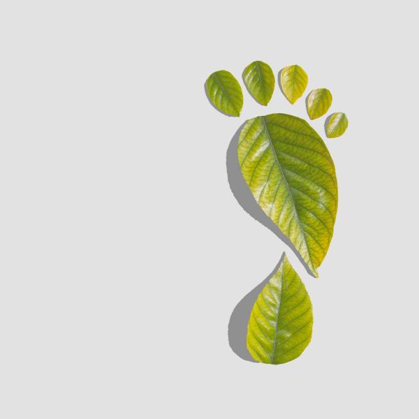 CARBON FOOTPRINT